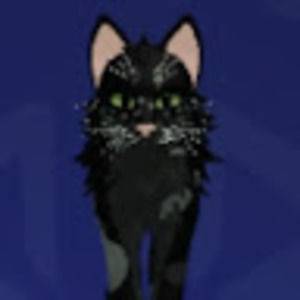 Meet your Posher, Monique